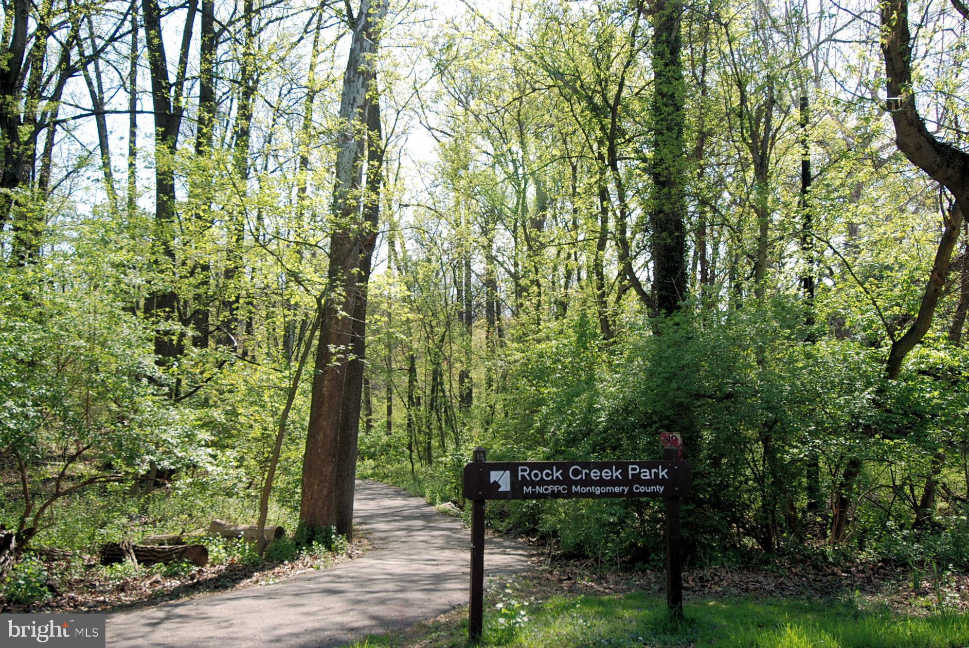 2607 Ross Road Chevy Chase, MD 20815 - Photo 19 of 22