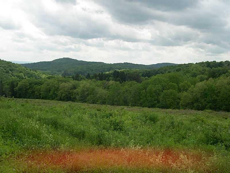 Lot 124 Matson Road Ligonier, PA 15658 - Photo 2 of 3