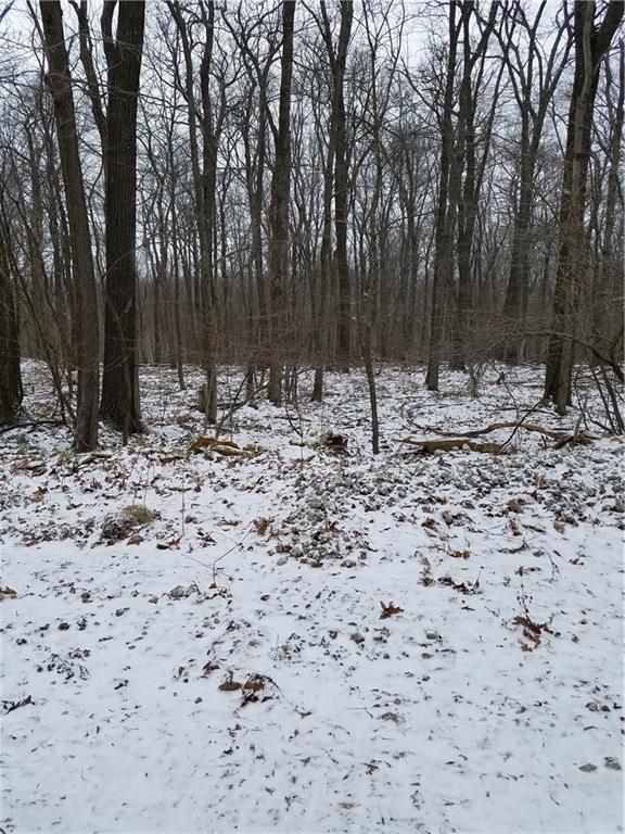 Lot 124 Matson Road Ligonier, PA 15658 - Photo 3 of 3