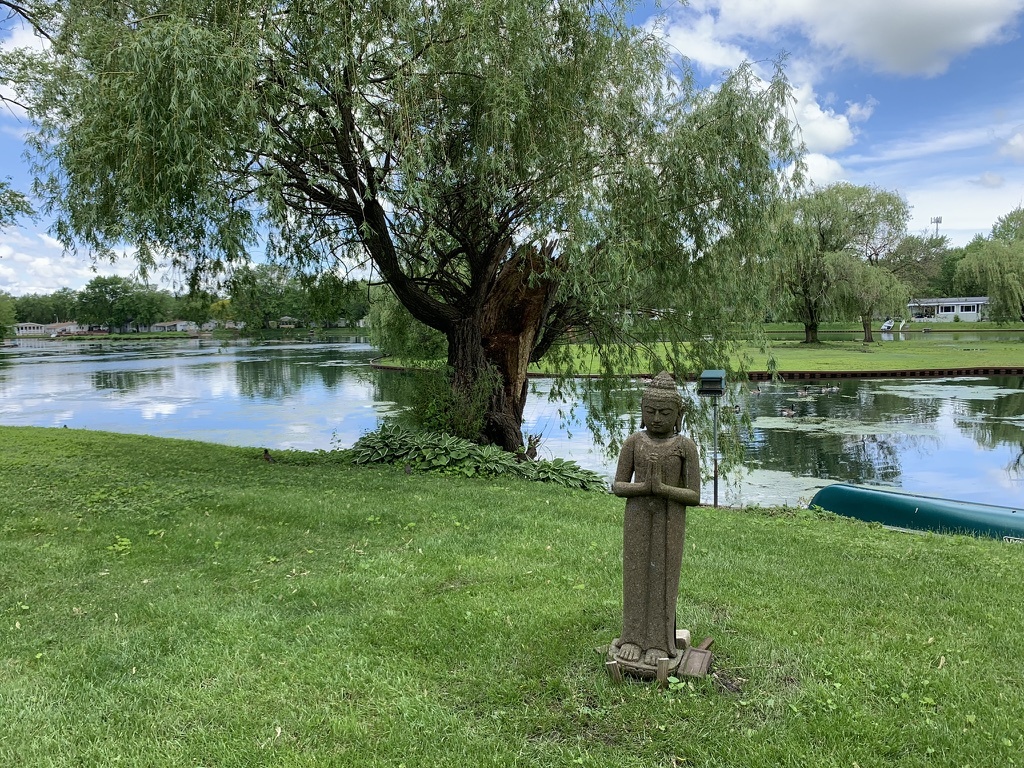1110 Lakewood Road Elgin, IL 60123 - Photo 20 of 24 a lake view with a garden and trees