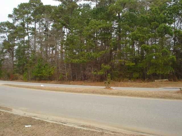 Parcel A Palmetto Pointe Boulevard Myrtle Beach, SC 29588 - Photo 3 of 6