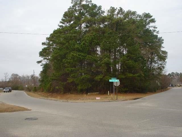 Parcel A Palmetto Pointe Boulevard Myrtle Beach, SC 29588 - Photo 6 of 6