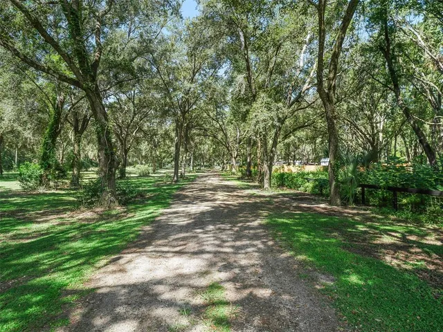 a view of a grassy field with trees in the background
