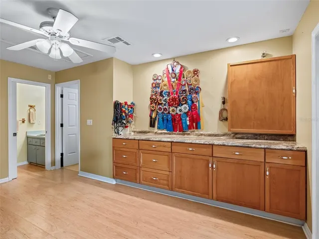 a view of a park with trees and a big trees