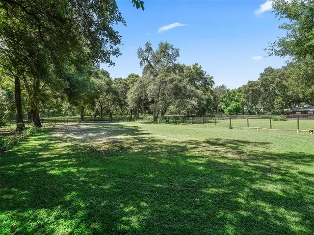 a view of a field with a mountain in the background