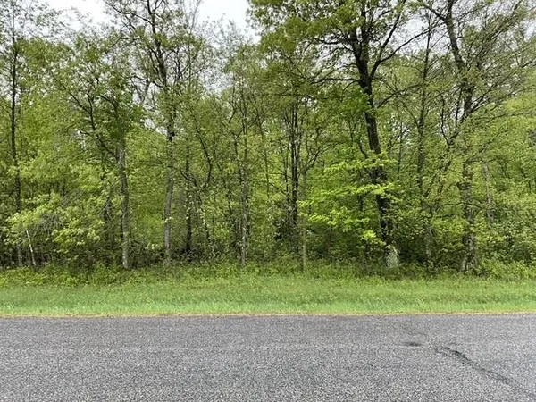 $42,950 | Lot 44 10th, Necedah, WI 54646