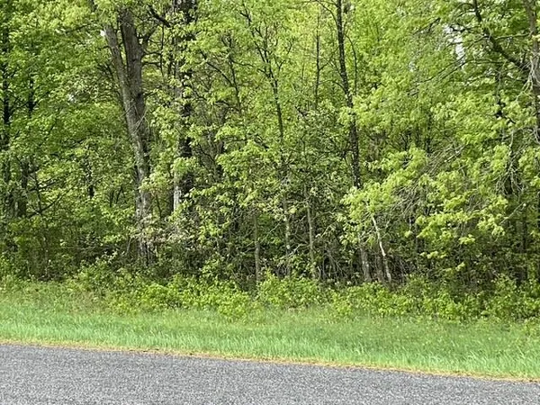 $42,950 | Lot 44 10th, Necedah, WI 54646