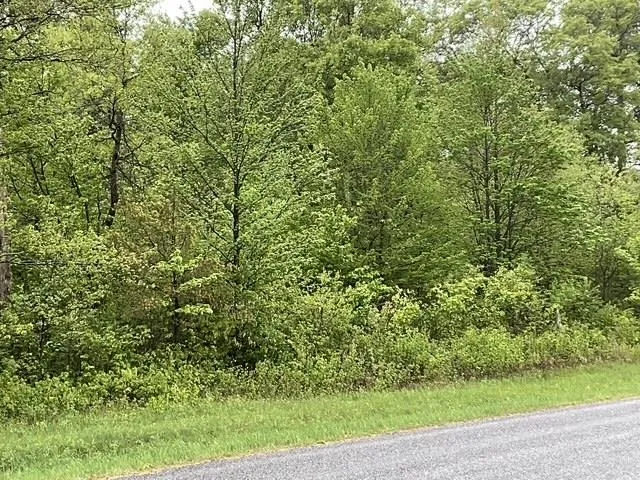 $42,950 | Lot 44 10th, Necedah, WI 54646