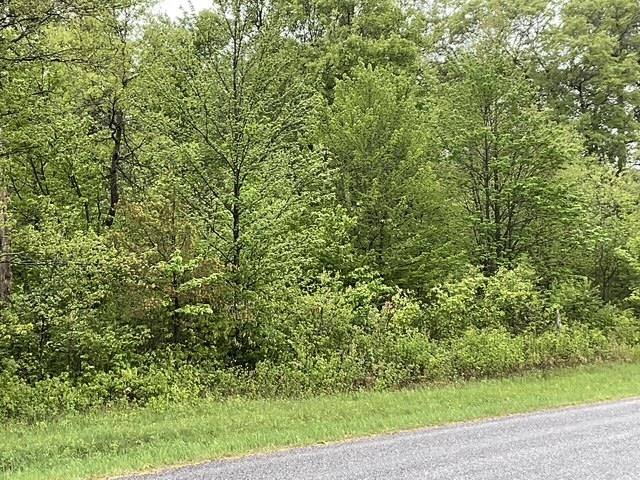 Lot 44 10th Necedah, WI 54646 - Photo 4 of 13