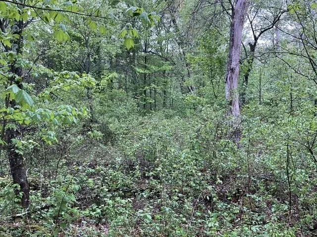 $42,950 | Lot 44 10th, Necedah, WI 54646