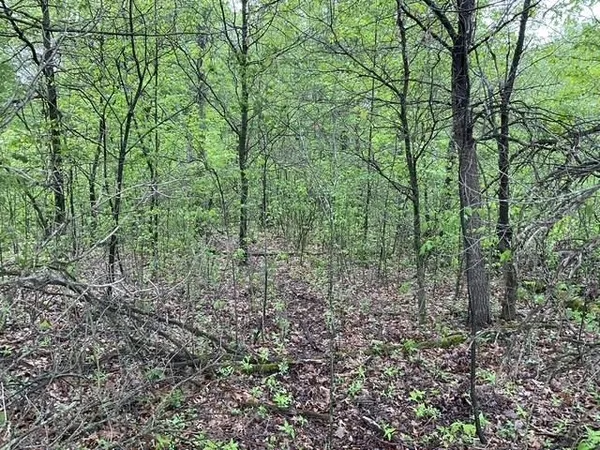 $42,950 | Lot 44 10th, Necedah, WI 54646