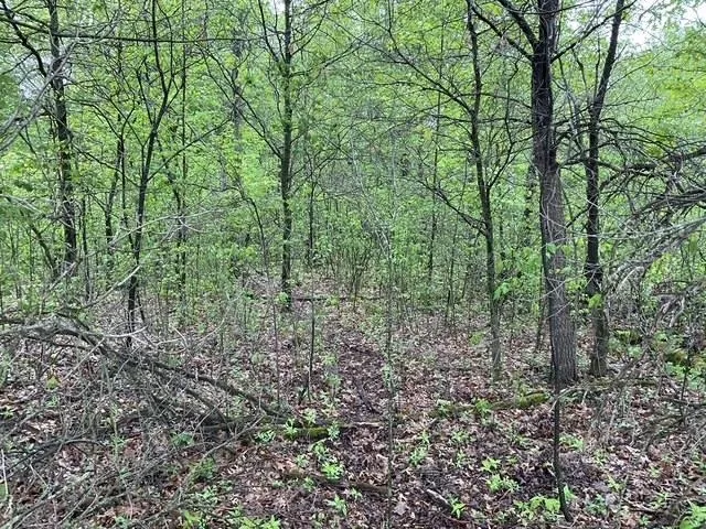 $42,950 | Lot 44 10th, Necedah, WI 54646