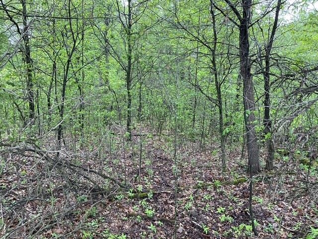 Lot 44 10th Necedah, WI 54646 - Photo 6 of 13