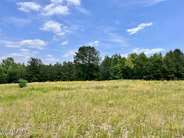 120 Foxwood Cl Road, Unit CLOSE Cameron, NC 28326 - Photo 4 of 13 IMG_2540