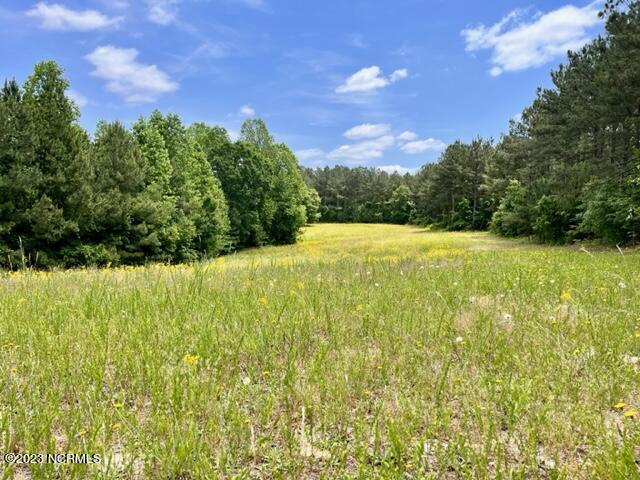 120 Foxwood Cl Road, Unit CLOSE Cameron, NC 28326 - Photo 5 of 13 IMG_2543
