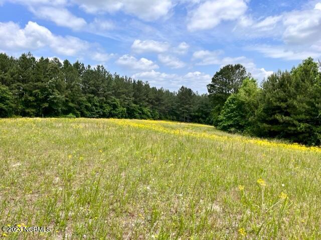 120 Foxwood Cl Road, Unit CLOSE Cameron, NC 28326 - Photo 6 of 13 IMG_2544