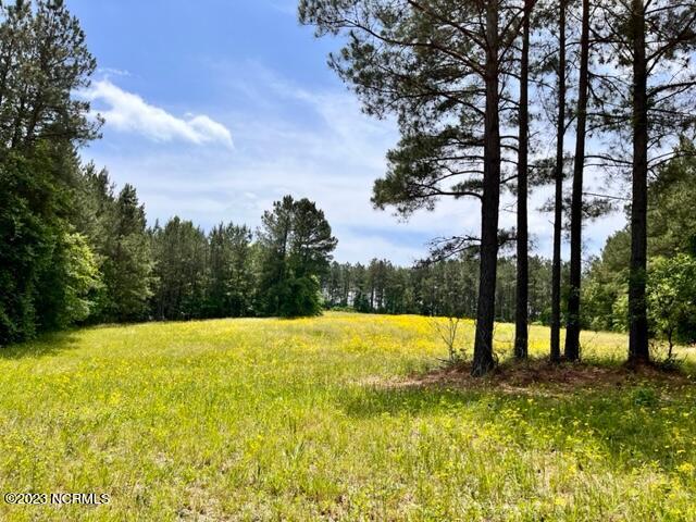120 Foxwood Cl Road, Unit CLOSE Cameron, NC 28326 - Photo 7 of 13 IMG_2545