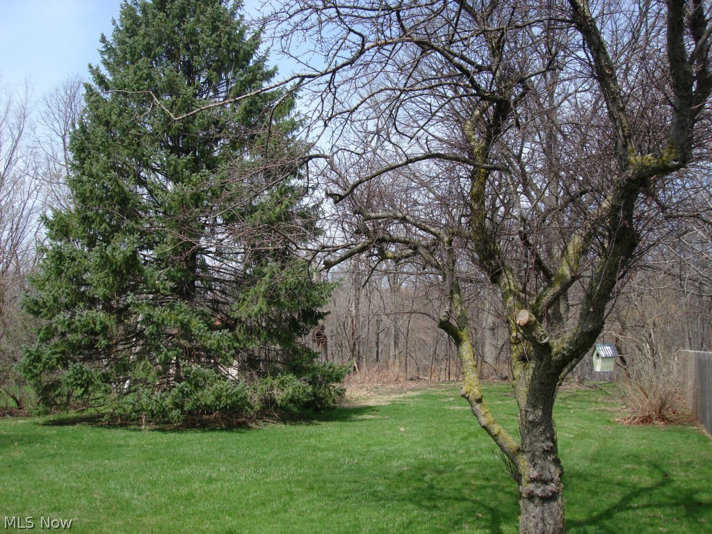10418 Biddulph Road Cleveland, OH 44144 - Photo 4 of 25 FALL IN LOVE WITH THIS GIFT OF NATURE...YOU MUST SEE AND EXPLORE THIS BEAUTIFUL PRIVATE LOT....