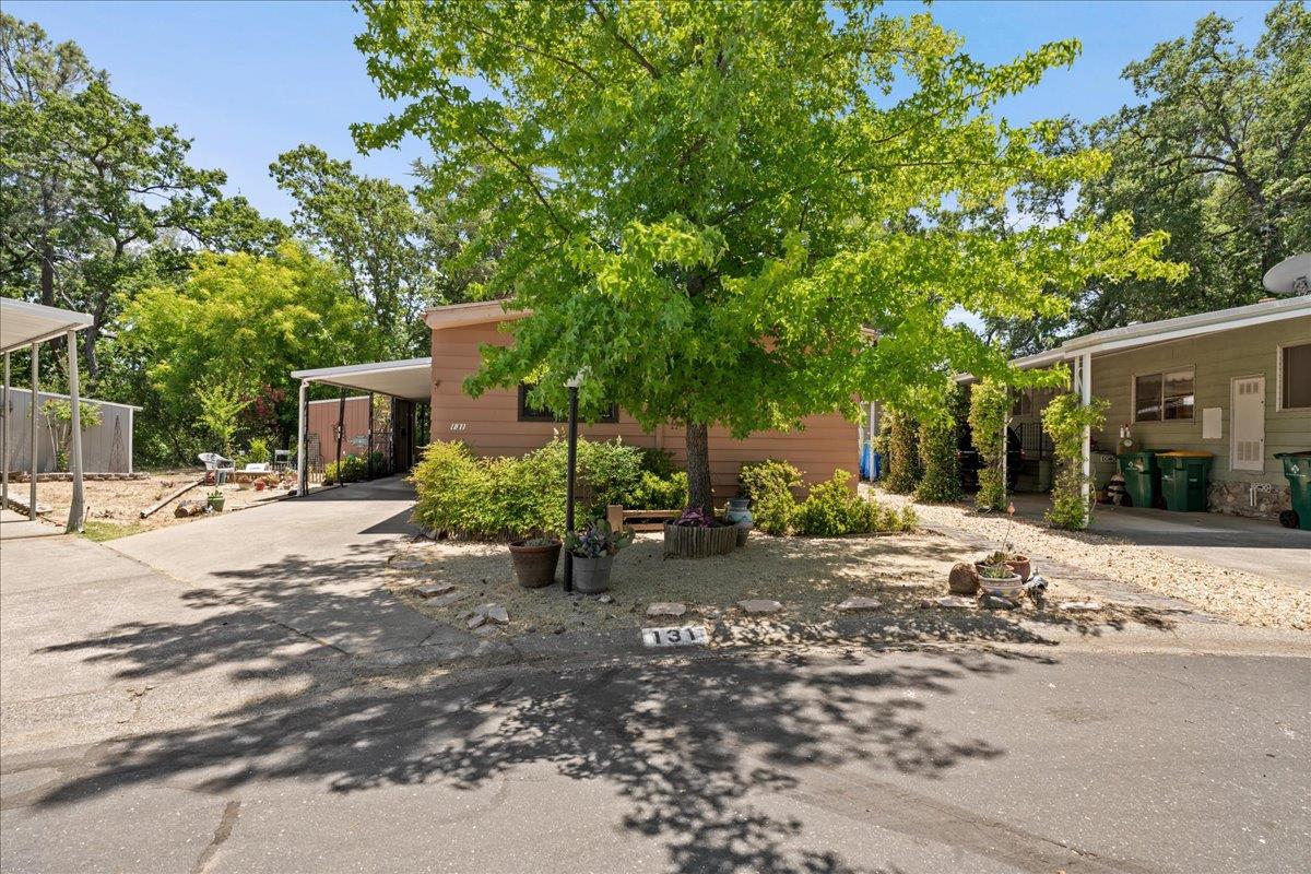 4420 Pleasant Valley Road, Unit 131 Diamond Springs, CA 95619 - Photo 29 of 30 a view of a house with a yard and tree