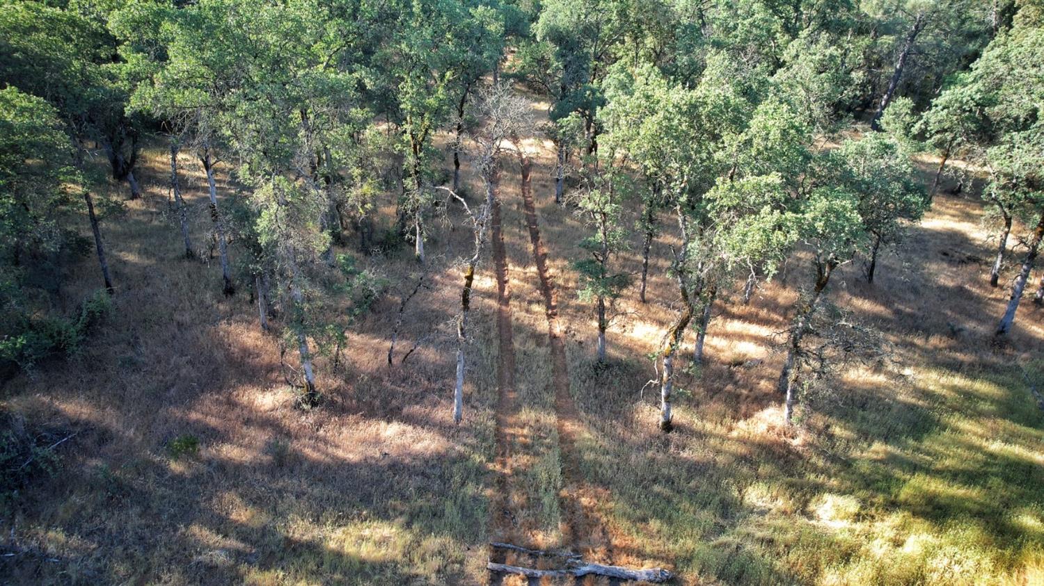 0 Bell Road Auburn, CA 95603 - Photo 2 of 18 a view of tree
