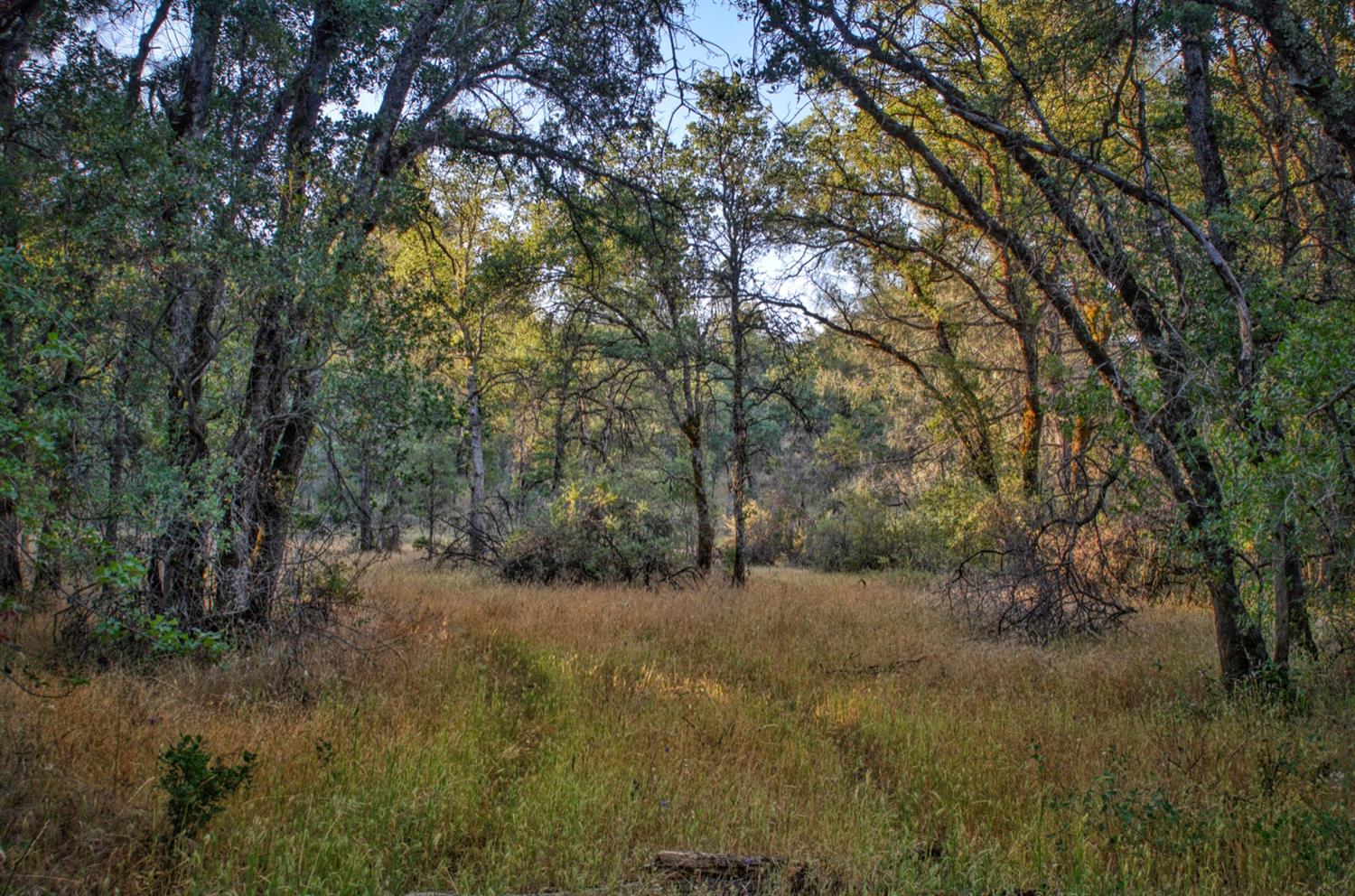 0 Bell Road Auburn, CA 95603 - Photo 4 of 18 a view of outdoor space and trees