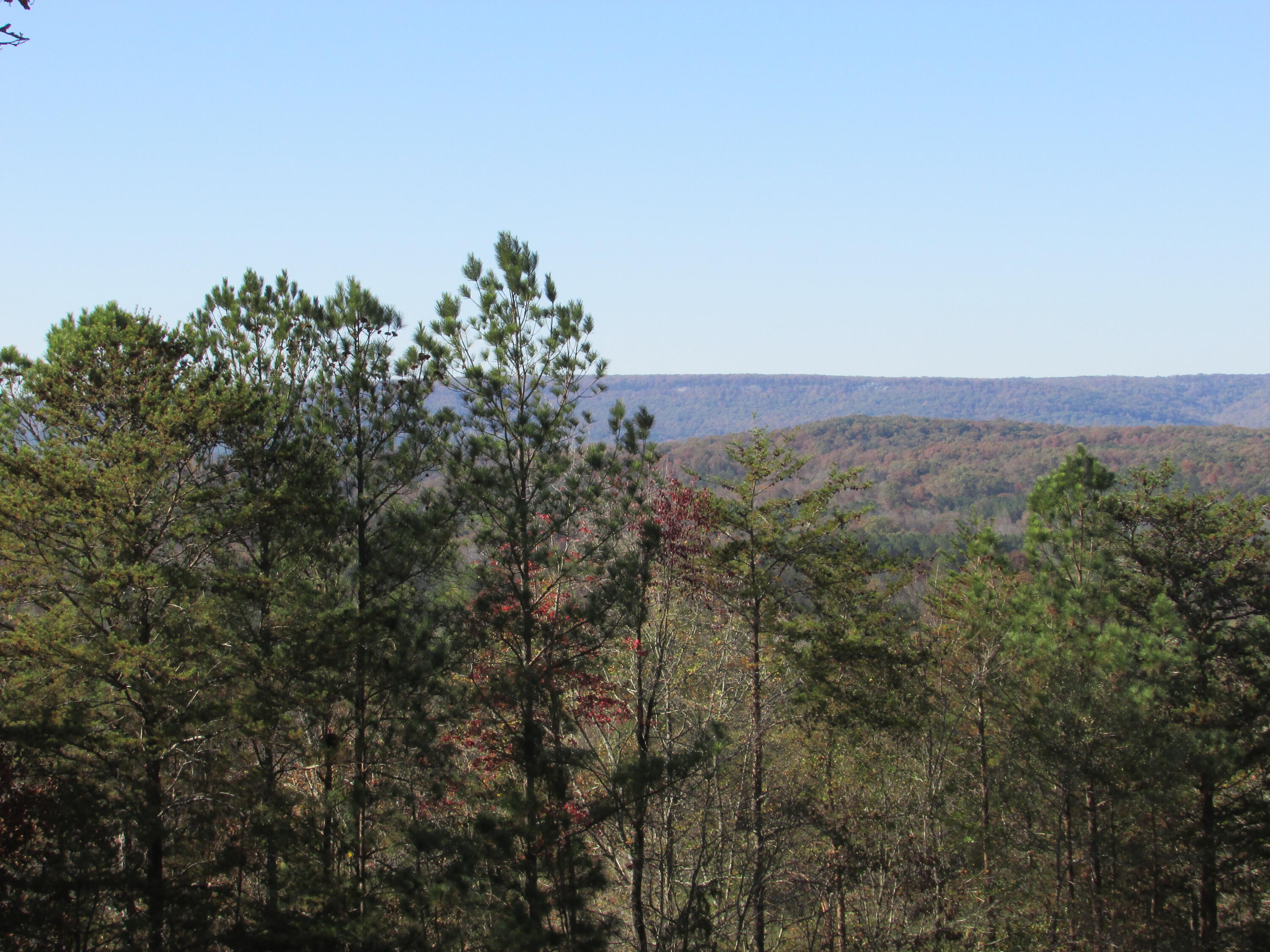 184 Denson Road Summerville, GA 30747 - Photo 72 of 77 mountain views from back porch