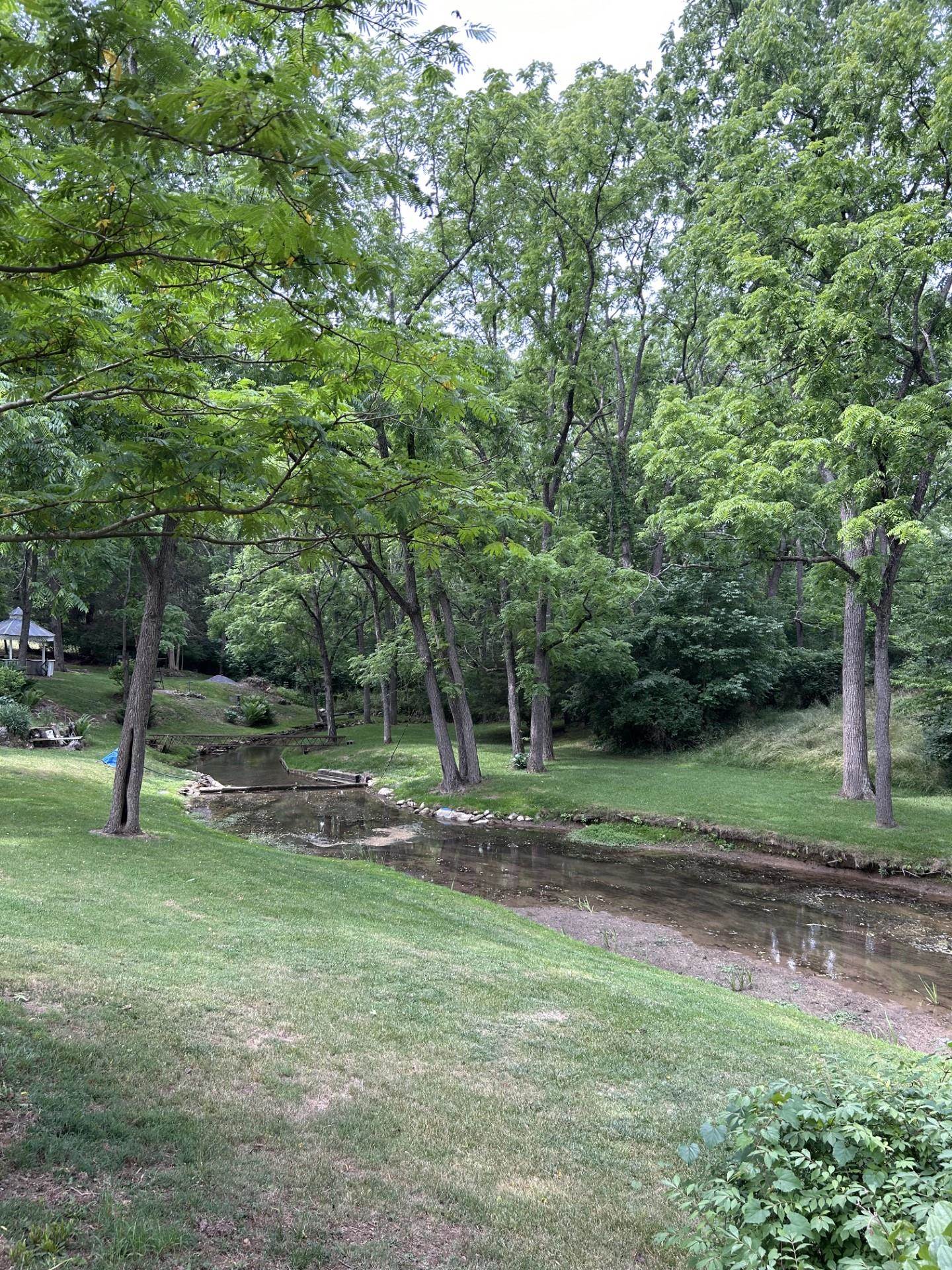 29 Tye River Turnpike Raphine, VA 24472 - Photo 3 of 17 a view of outdoor space with trees all around