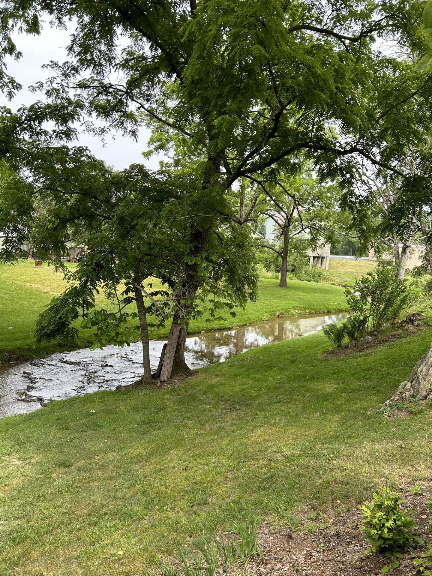 29 Tye River Turnpike Raphine, VA 24472 - Photo 4 of 17 a view of yard with green space