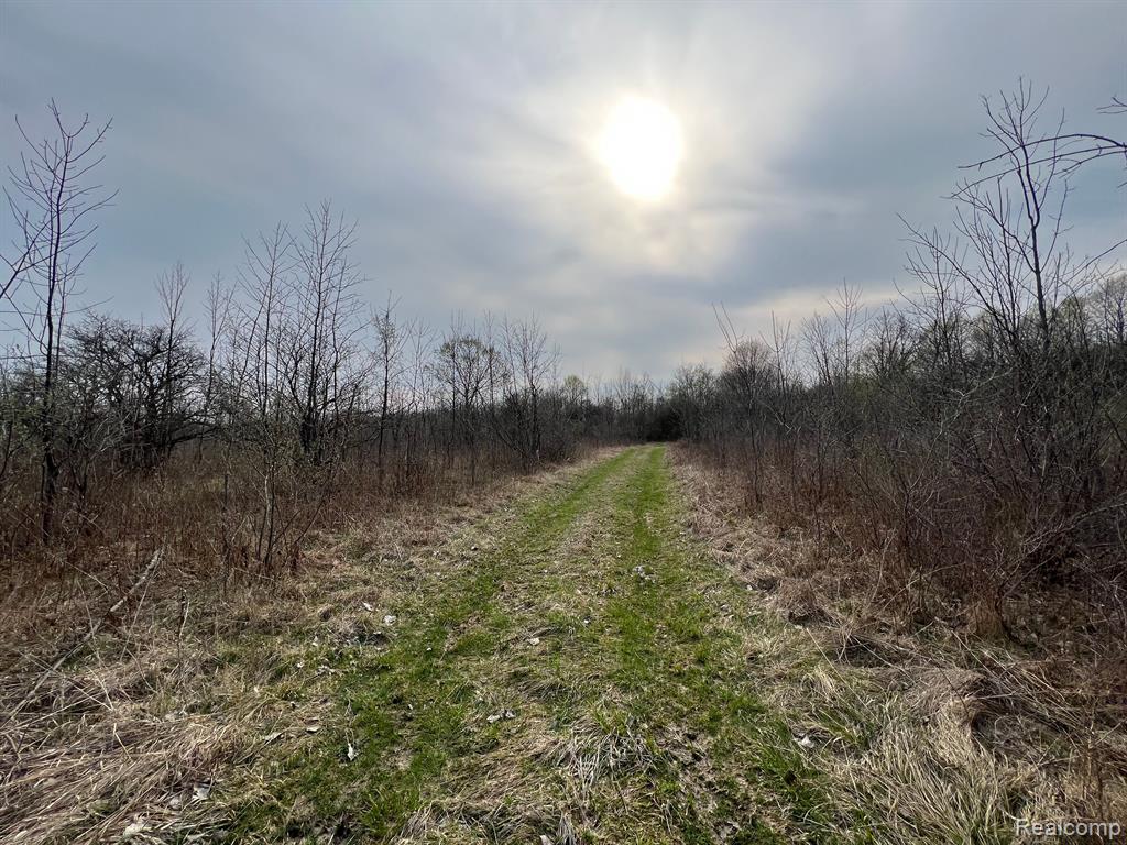 28 28 Mile Road New Haven, MI 48048 - Photo 14 of 20
