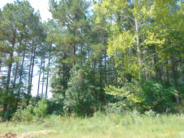 $325,000 | Lee Beall Circle, Wesson, MS 39191