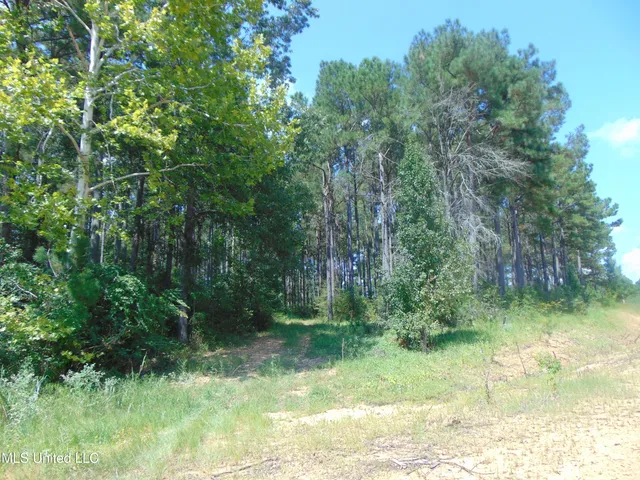 $325,000 | Lee Beall Circle, Wesson, MS 39191