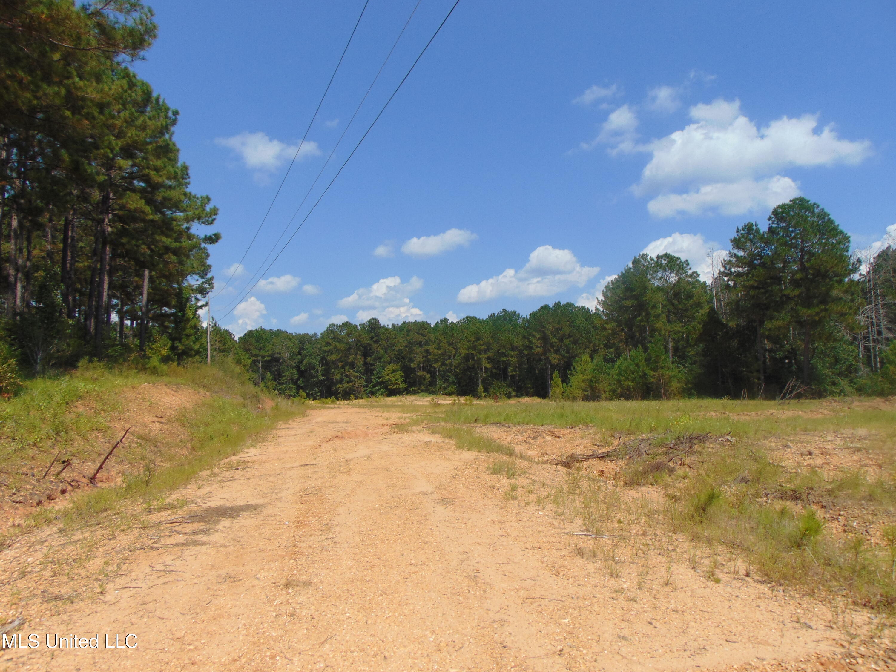 Lee Beall Circle Wesson, MS 39191 - Photo 16 of 44 DSC05320