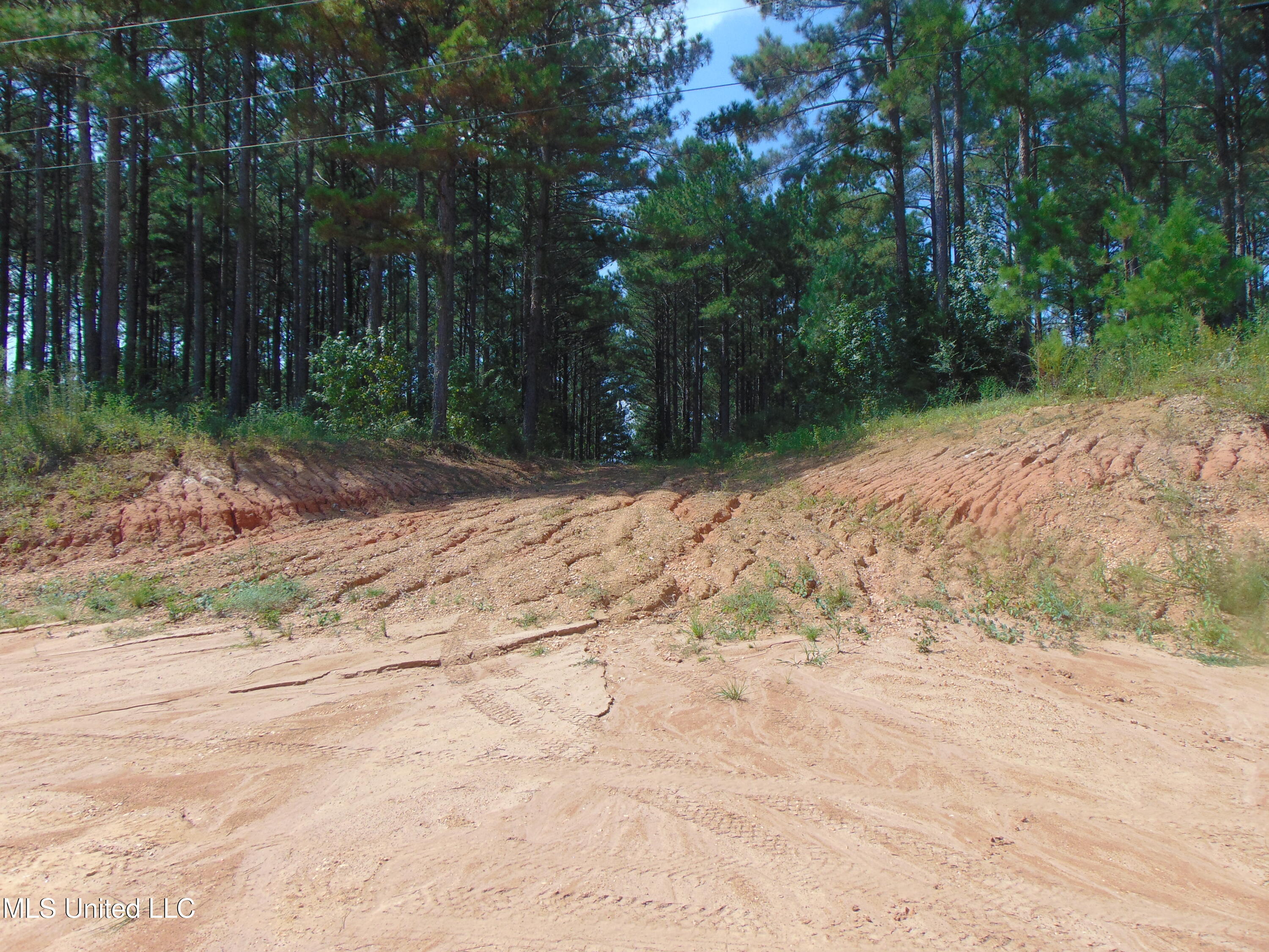 Lee Beall Circle Wesson, MS 39191 - Photo 19 of 44 DSC05323