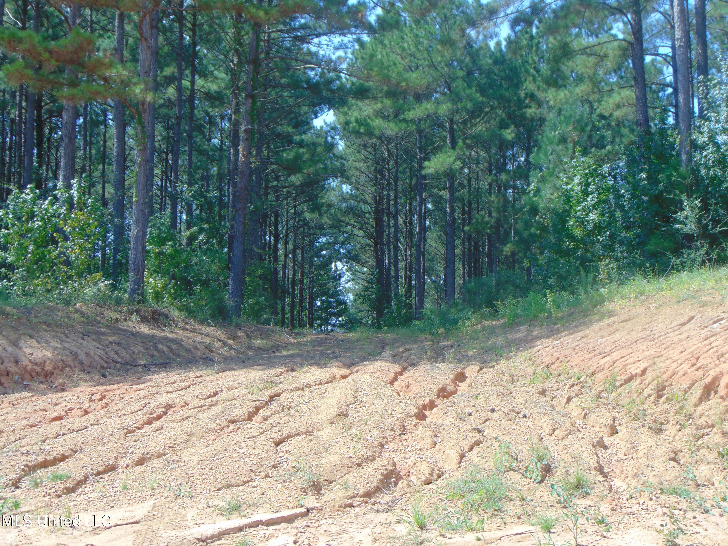 Lee Beall Circle Wesson, MS 39191 - Photo 20 of 44 DSC05324