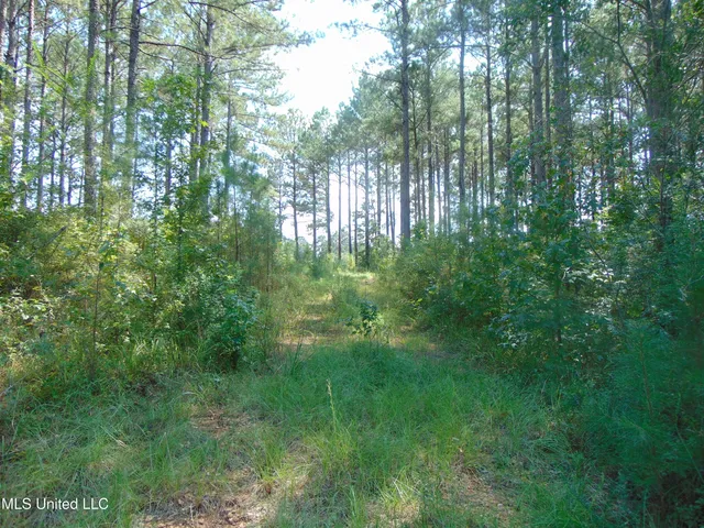 $325,000 | Lee Beall Circle, Wesson, MS 39191