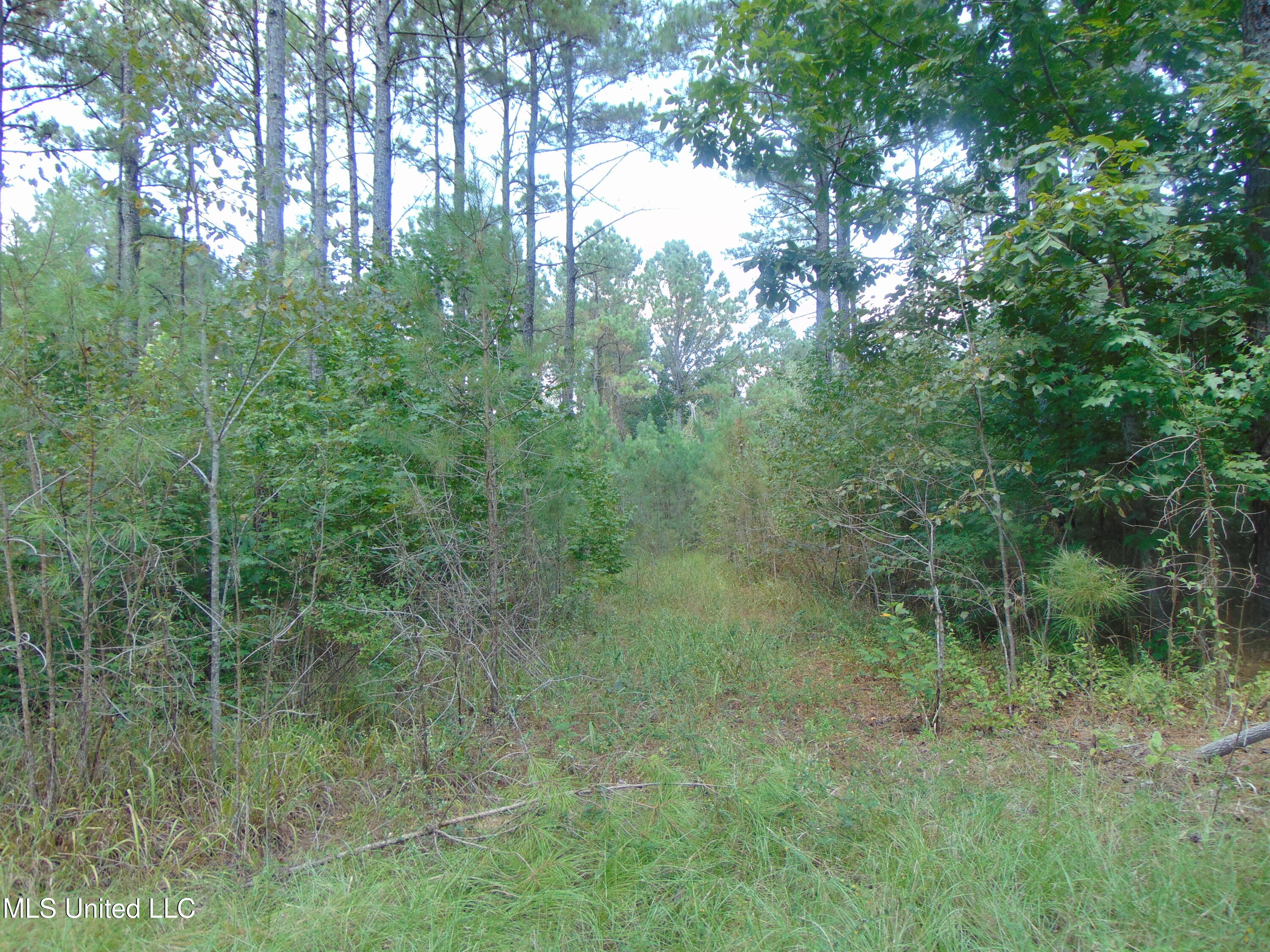 Lee Beall Circle Wesson, MS 39191 - Photo 30 of 44 DSC05337