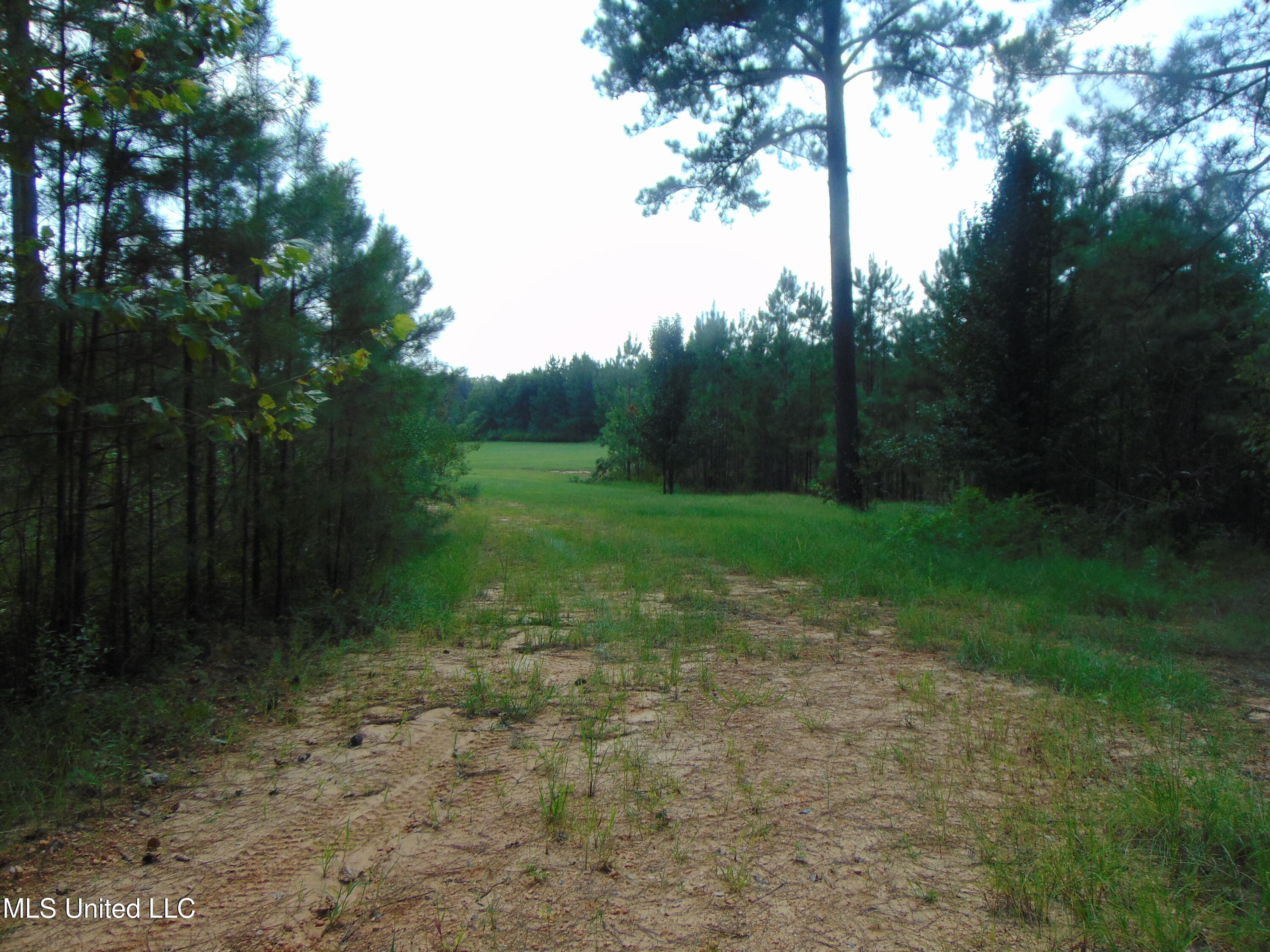 Lee Beall Circle Wesson, MS 39191 - Photo 32 of 44 DSC05339