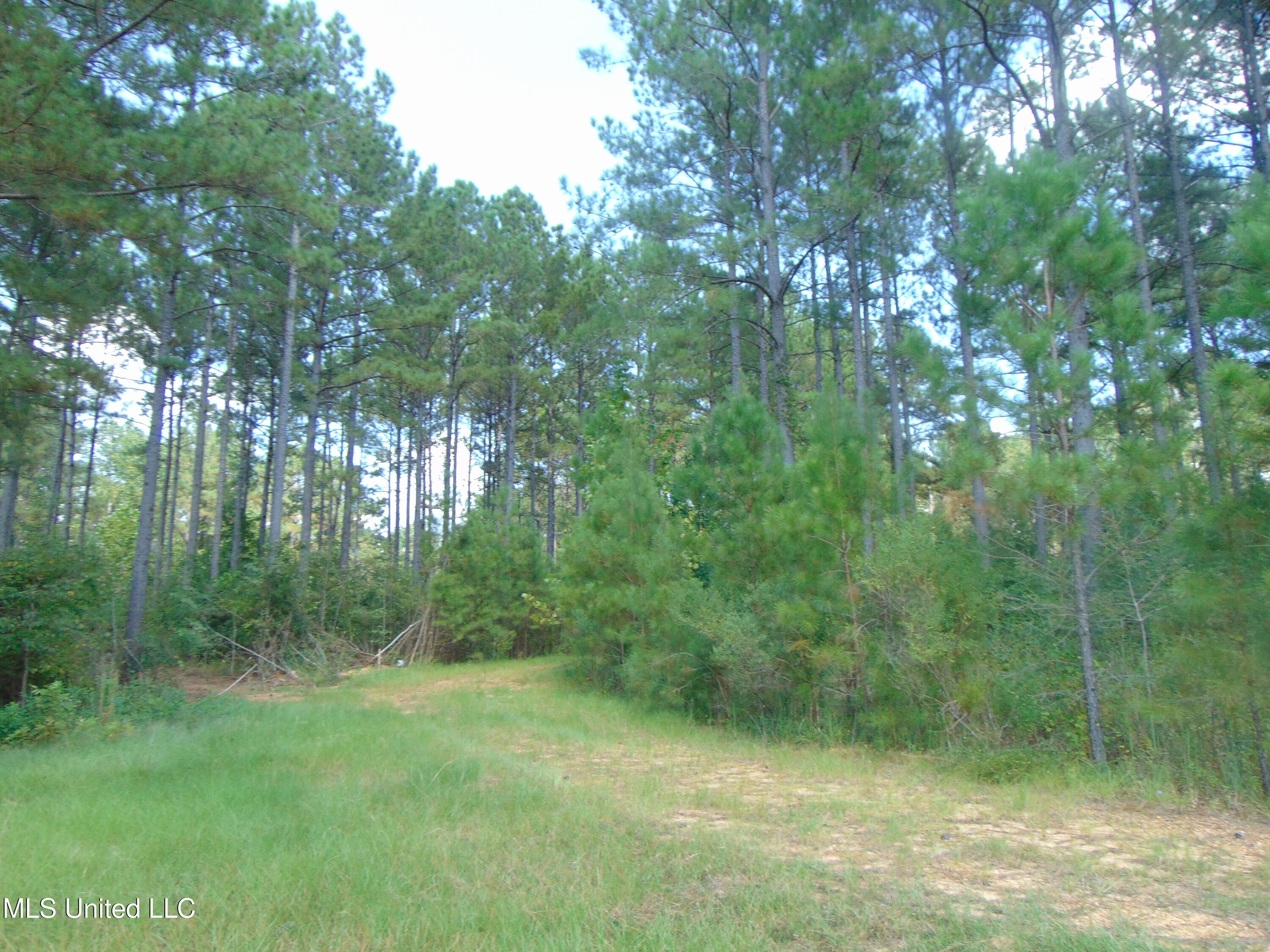 Lee Beall Circle Wesson, MS 39191 - Photo 33 of 44 DSC05340