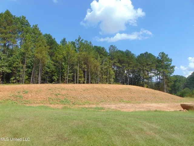 $325,000 | Lee Beall Circle, Wesson, MS 39191