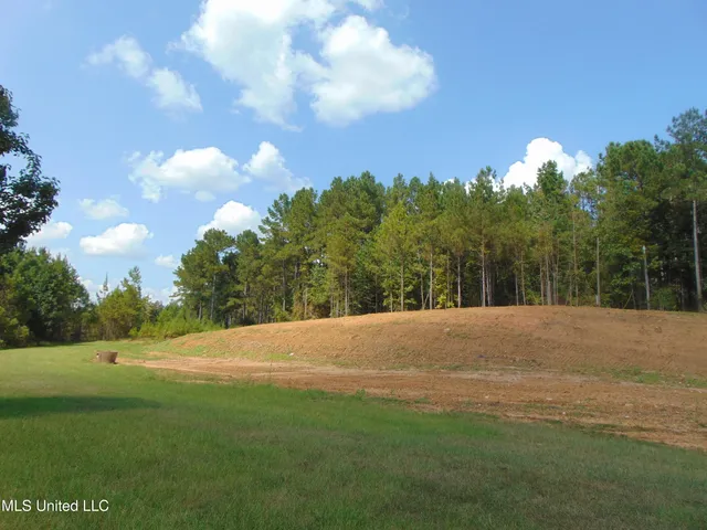 $325,000 | Lee Beall Circle, Wesson, MS 39191