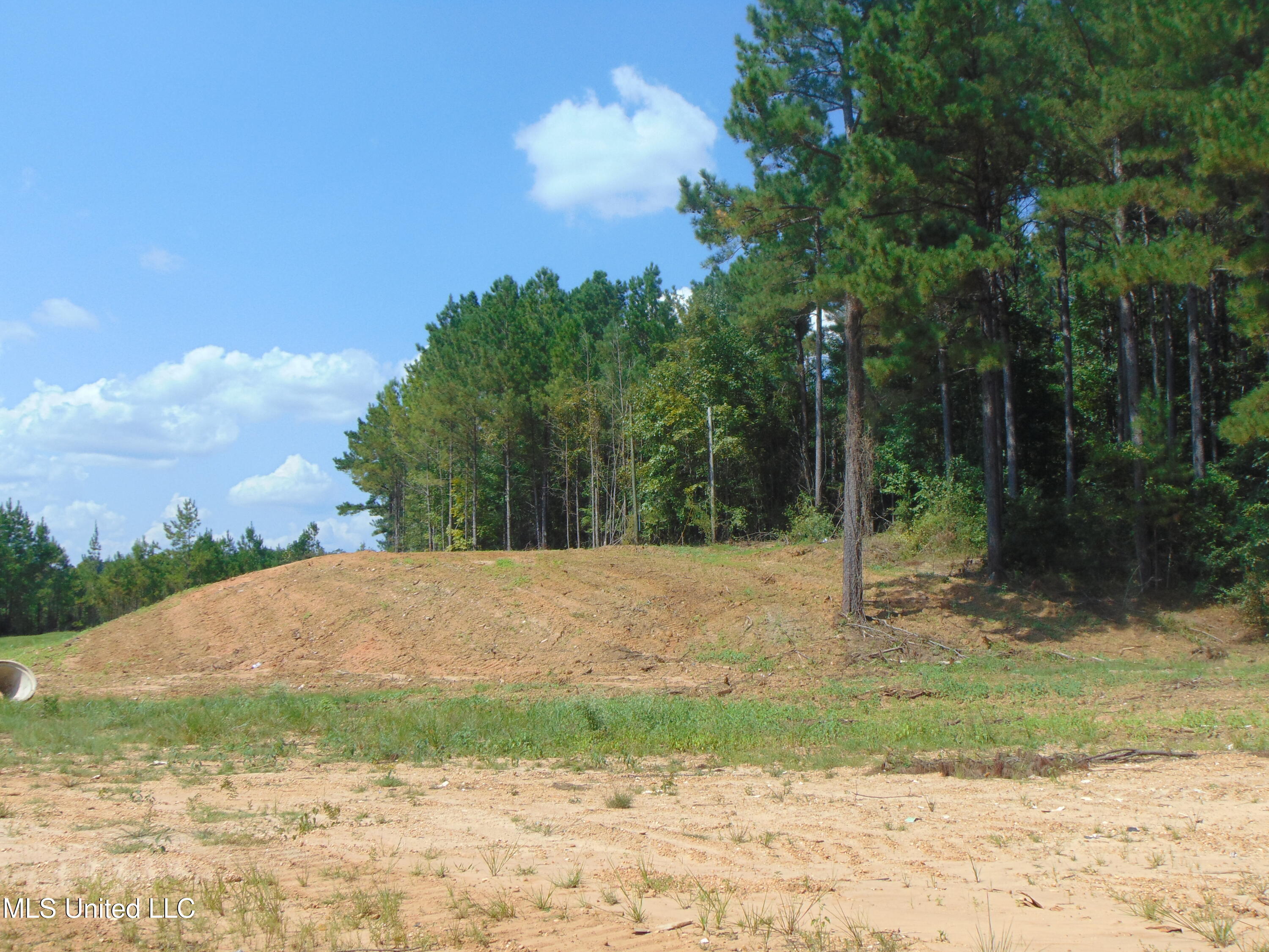 Lee Beall Circle Wesson, MS 39191 - Photo 10 of 44 DSC05314
