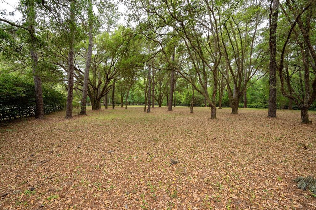 623 Southwest 93rd Street Gainesville, FL 32607 - Photo 94 of 100 Gallery Image 94