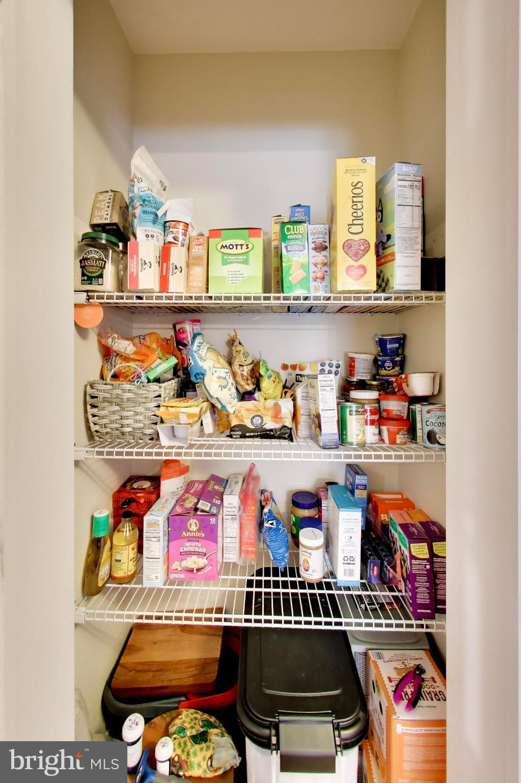 12205 Warner Road Keymar, MD 21757 - Photo 20 of 66 Organized pantry brimming with essentials.