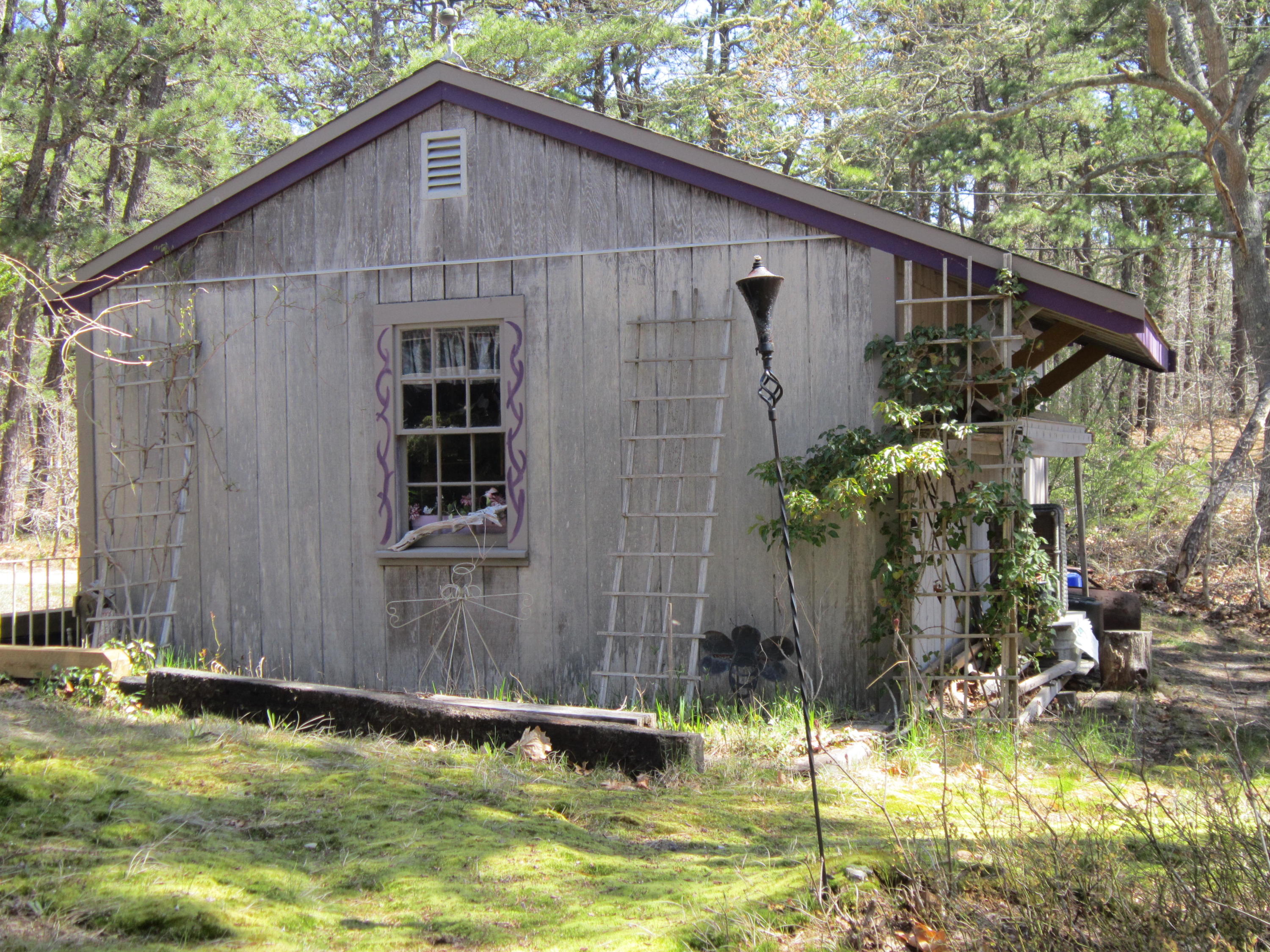 27 Bartlett Road Wellfleet, MA 02667 - Photo 12 of 32 a backyard of a house with large trees and plants