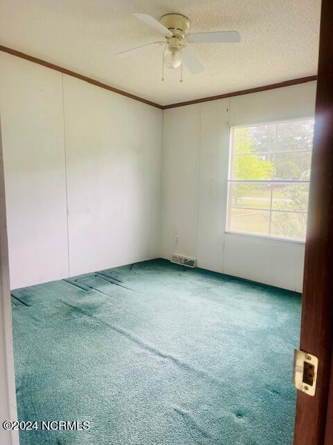 2503 Sutton Loop Road La Grange, NC 28551 - Photo 15 of 15 IMG_7799