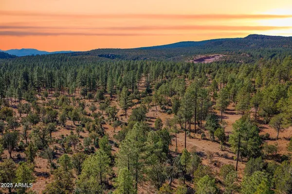 a view of a mountain in the distance in a field