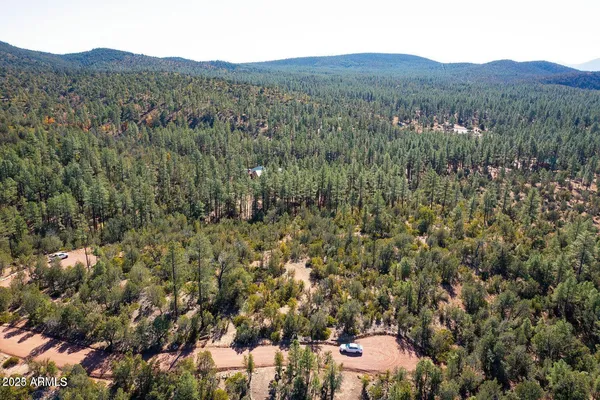 a view of a forest with a forest