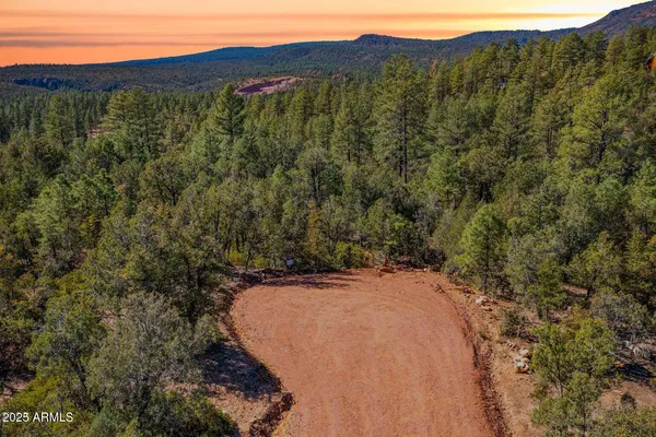 a view of a forest with a street