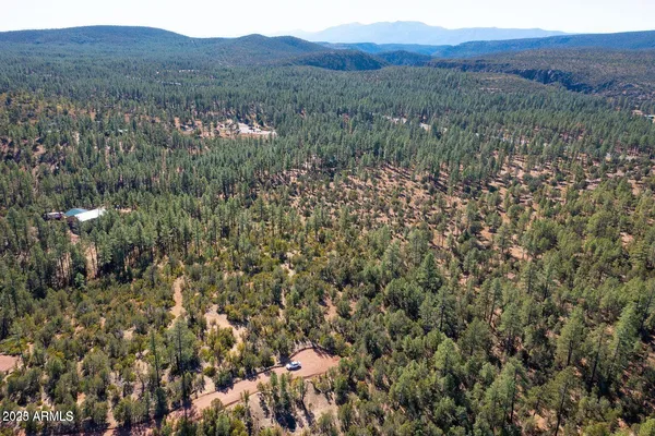 a view of a forest with mountains in the background