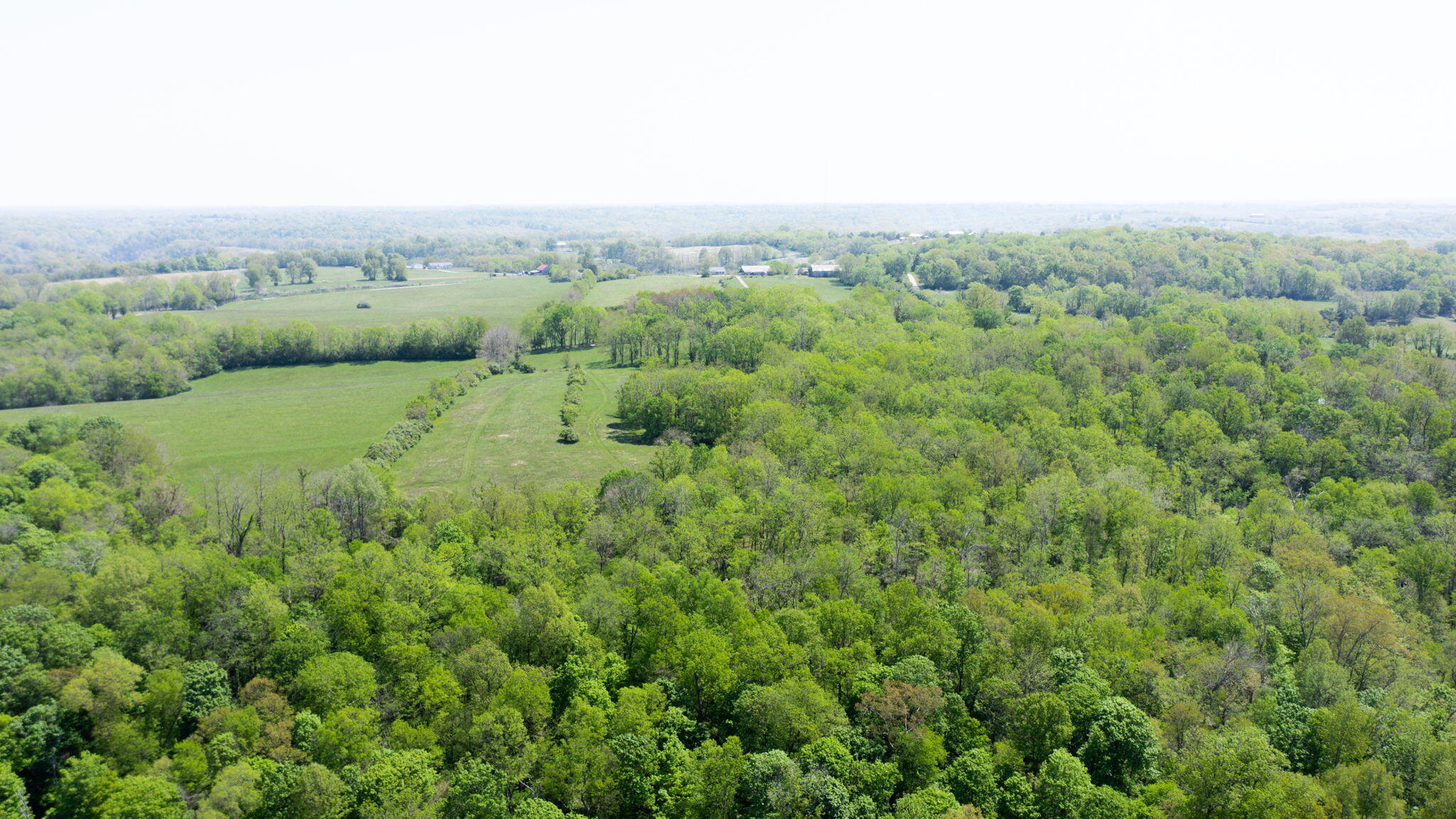 1875 Handys Bend Road Wilmore, KY 40390 - Photo 31 of 38 Fields